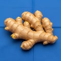 Fresh ginger root (Zingiber officinale) rests on a blue surface Royalty Free Stock Photo
