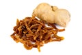 Fresh ginger, sun-dried, candied. Royalty Free Stock Photo