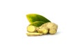 Fresh Ginger  Thai Herbs for Health Royalty Free Stock Photo