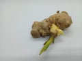 The fresh ginger Royalty Free Stock Photo