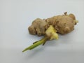 The fresh ginger Royalty Free Stock Photo