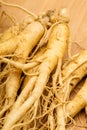 Fresh Ginseng close up Royalty Free Stock Photo