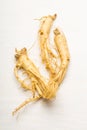 Fresh Ginseng Royalty Free Stock Photo