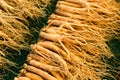 Fresh ginseng in Korean market Royalty Free Stock Photo