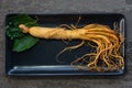 Fresh ginseng root on black plate with green leaves and berries Royalty Free Stock Photo