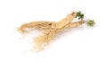 Fresh ginseng root on a white background Royalty Free Stock Photo