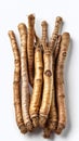 Fresh Ginseng Roots on White Background Royalty Free Stock Photo