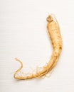 Fresh Ginseng stick Royalty Free Stock Photo