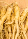 Fresh Ginseng Royalty Free Stock Photo
