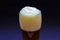 Fresh glass craft beer with white foam
