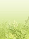 Fresh glowing spring plants vertical background