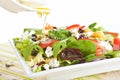 Fresh goat cheese salad. Royalty Free Stock Photo