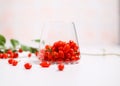 Fresh Goji berries in transparent glass. Healthy antiage superfood