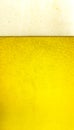 Fresh golden beer texture