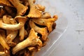 Fresh golden chanterelles on light grey background top view Royalty Free Stock Photo
