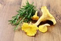 Fresh golden chanterelles mushroom on wooden table background Royalty Free Stock Photo