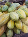 Fresh golden cucumber tropical fruit just picked from the field