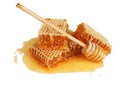 Fresh honey in comb