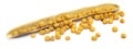 Fresh golden mustard Royalty Free Stock Photo