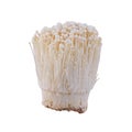 Fresh golden needle mushroom or enoki isolated on white background