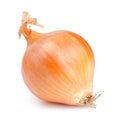 Fresh golden onions isolated on white Royalty Free Stock Photo