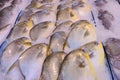 Fresh Golden Pomfret on ice in supermarket. Whole fish for sale in seafood department. Close up selective focus. Cloudy eyes from Royalty Free Stock Photo