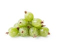 Fresh gooseberries from garden Royalty Free Stock Photo