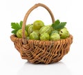 Fresh gooseberry in a wicker basket