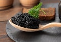 Fresh grainy black paddlefish caviar in brown wooden spoon on a black background, close up