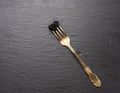 Fresh grainy black paddlefish caviar in metal fork on a black background Royalty Free Stock Photo