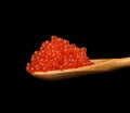 Fresh grainy red chum salmon caviar in a wooden spoon, delicious and healthy food