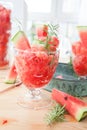 Fresh granita made from water melon Royalty Free Stock Photo