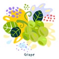 Fresh grape berry berries fruits juice splash organic food juicy grapes splatter on abstract background