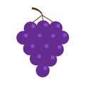 Fresh grape brunch icon. Healthy food lifestyle. Fruit collection. Violet color. Educational card for kids. Flat design. White bac Royalty Free Stock Photo