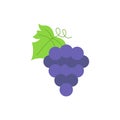 Fresh grape bunch colored icon. Vector EPS 10. Simple fruit symbol on white. Isolated pictogram. Trendy flat sign. Used