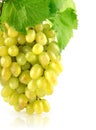 Fresh grape cluster isolated fruit