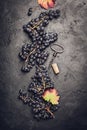Fresh grape, cork and corkscrew on dark background Royalty Free Stock Photo