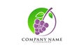 Fresh grape fruit illustration logo design vector Royalty Free Stock Photo
