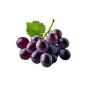 Fresh grape fruit. Whole ripe berry with green leaf isolated. Healthy diet. Vegetarian food Royalty Free Stock Photo