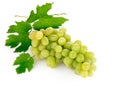 Fresh grape fruits with green leaves