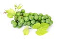 Fresh grape fruits with green leaves isolated Royalty Free Stock Photo