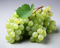 Fresh grape Royalty Free Stock Photo