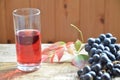 Fresh Grape juice by some Grape vines. brush of black grape juice fresh organic on wooden surface, copy space