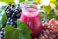 Fresh Grape Juice Royalty Free Stock Photo