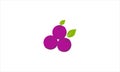 Fresh blue berry logo or Simple Grape Fruit icon design vector template illustration