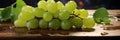 Fresh grape vineyards background banner with bunches of juicy grapes and lush green leaves Royalty Free Stock Photo