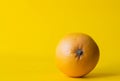 Fresh grapefruit citrus fruct isolated on yellow background Royalty Free Stock Photo