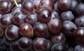 Fresh grapes Royalty Free Stock Photo