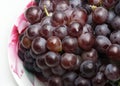 Fresh grapes Royalty Free Stock Photo