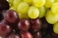 Fresh grapes